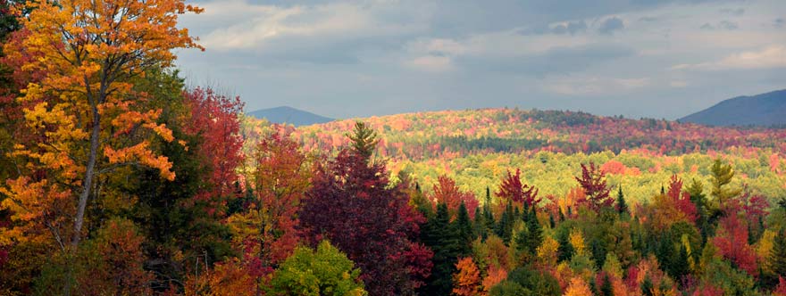 Fall in Bethlehem