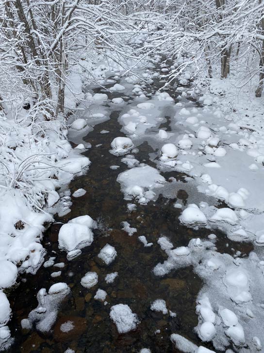 Winter Brook by Daryl Hawk