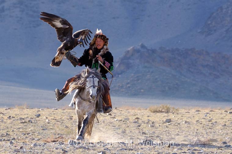 Mongolian Falconry
