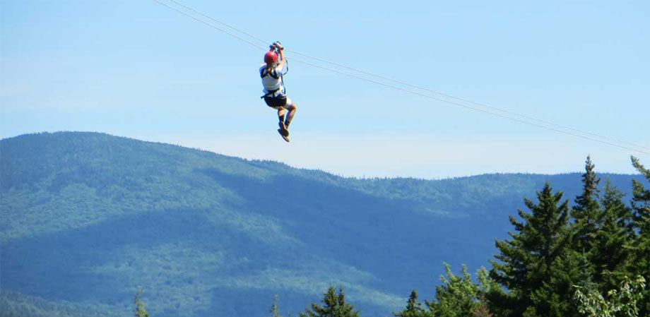 Canopy Tours