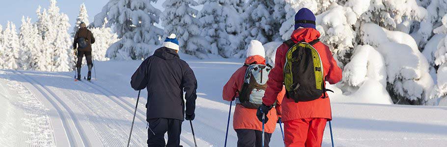 Cross-country Skiing