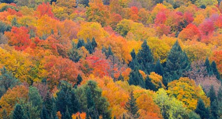 Fall Specials